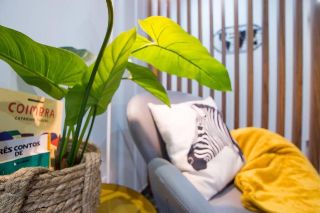 Modern Apartment In Coimbra City Center Εξωτερικό φωτογραφία