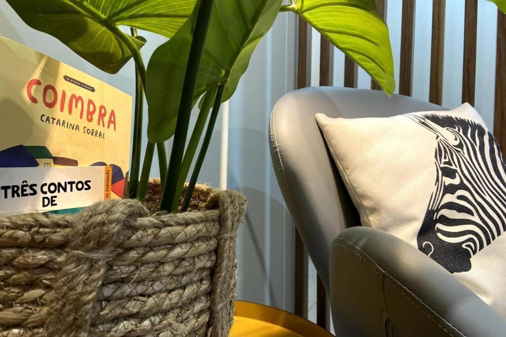 Modern Apartment In Coimbra City Center Εξωτερικό φωτογραφία